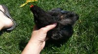 20170802_155315.jpg