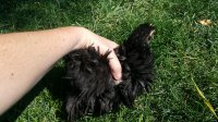 20170802_155127.jpg
