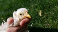 20170802_154731.jpg