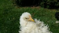 20170802_154740.jpg