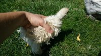 20170802_154749.jpg