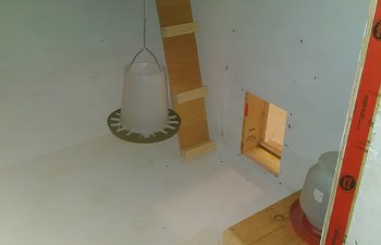 IMG_20160404_150626.jpg