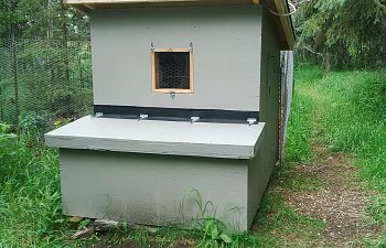 Pictures of me building my first chicken coop
