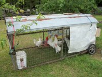 Chickenfarm 081.JPG