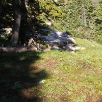 20170801_084636.jpg