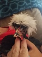 20170803_172309.jpg
