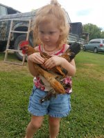 20170711_184744.jpg