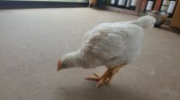 20170804_105909.jpg