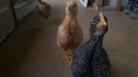 20170804_105723.jpg