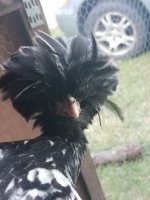 20170803_195750.jpg