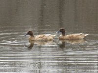 IMG_6854.JPG