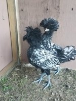 20170803_195741.jpg