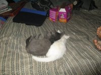 IMG_1943.JPG