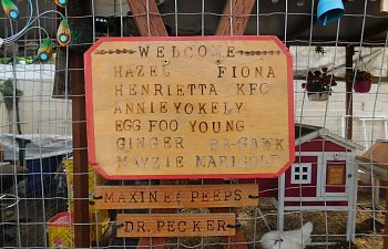 DSCN0791.JPG