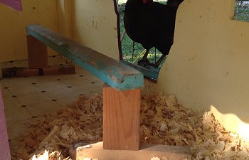 IMG_4592.JPG