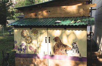 IMG_4594.jpg