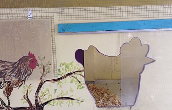 IMG_4599.JPG
