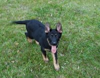 20170519_192518.jpg