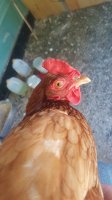 20170804_112906.jpg