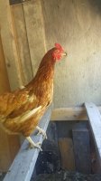 20170804_113032.jpg