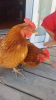 20170804_115535.jpg