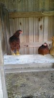IMG_20170804_164619.jpg
