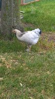 WP_20170617_15_24_47_Pro.jpg