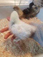 20170805_140427.jpg