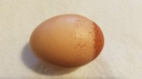 20170803_100005.jpg