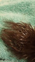 20170805_231017.jpg