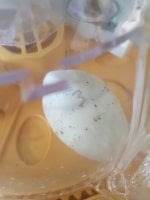 20170806_182819.jpg