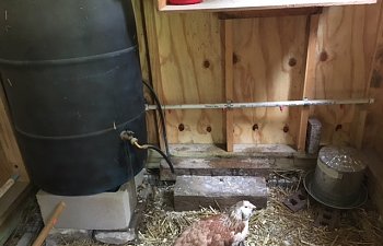 Waterer.JPG