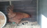 20170806_120047.jpg