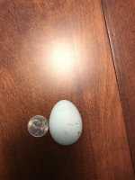 IMG_0077.JPG