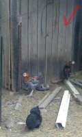 IMG_20170806_180134_292.jpg