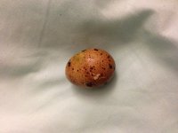 image.jpeg