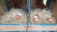 20170727_101931.jpg