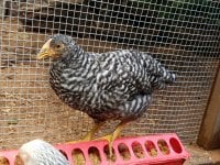 20170807_171619.jpg