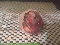WP_20170807_21_20_00_Pro_LI.jpg