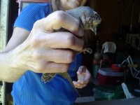 20170808_100151.jpg