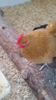 IMG-20170719-WA0003.jpg