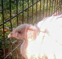 20170809_084158.jpg