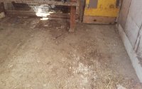 20170809_162719.jpg