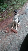 20170729_132142.jpg