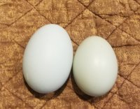 20170810_130814.jpg