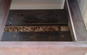 20170809_183502.jpg