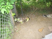 IMG_2162.JPG