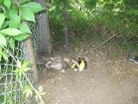 IMG_2163.JPG