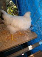 20170804_143435.jpg