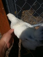 20170808_162521.jpg